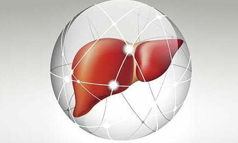 Cara Mengobati Penyakit Liver secara Alami maupun Medis