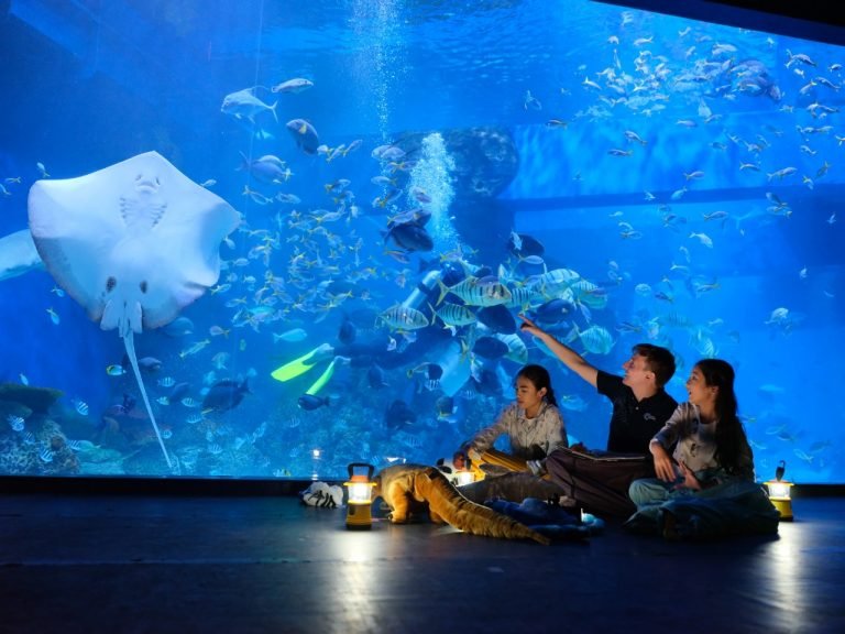 Tempat Wisata Aquarium di Indonesia yang Terkenal