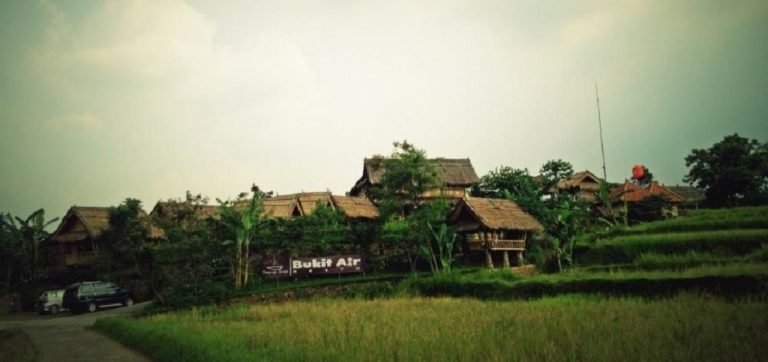 5 Tempat Makan di Bogor yang Instagramable dengan Pemandangan Sawah