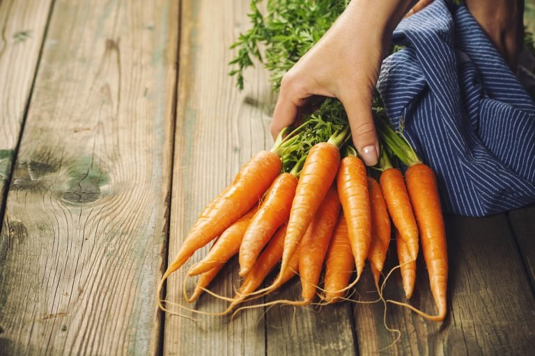 5 Racun Alami dalam Makanan yang Dapat Membahayakan Kesehatan